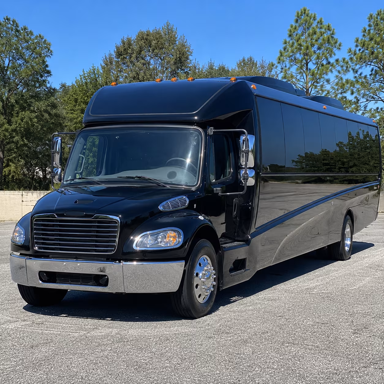 newport beach 15 passenger minibus